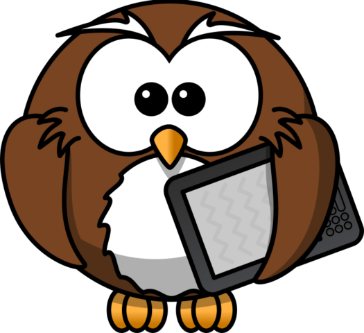 owl1