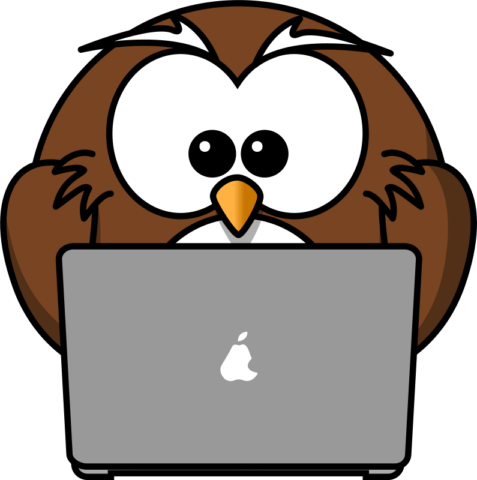 owl11