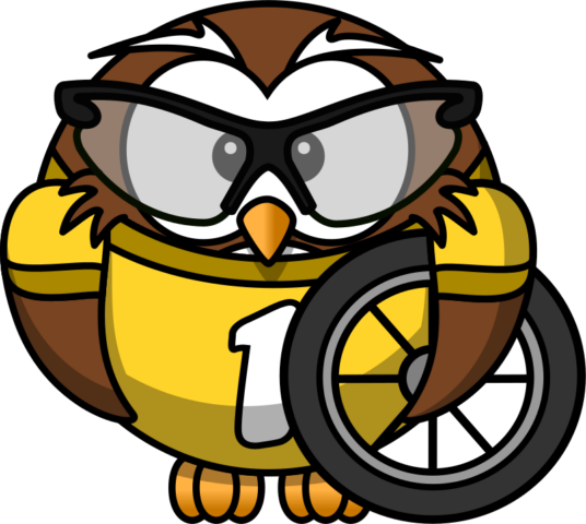 owl12