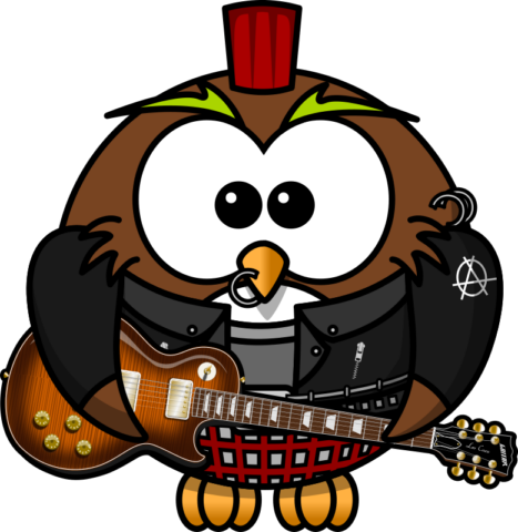 owl13