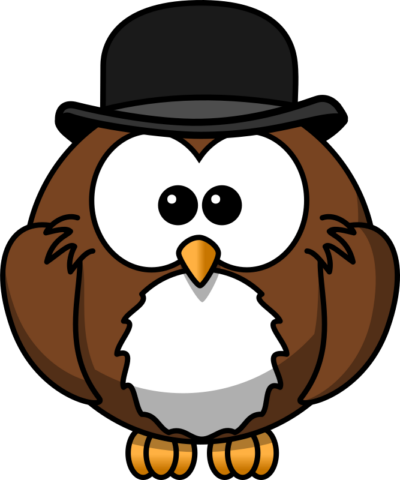 owl14