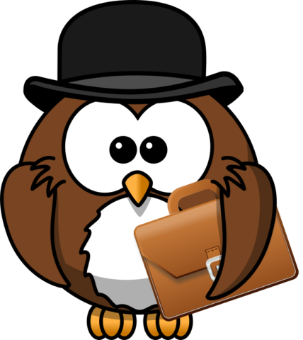 owl15