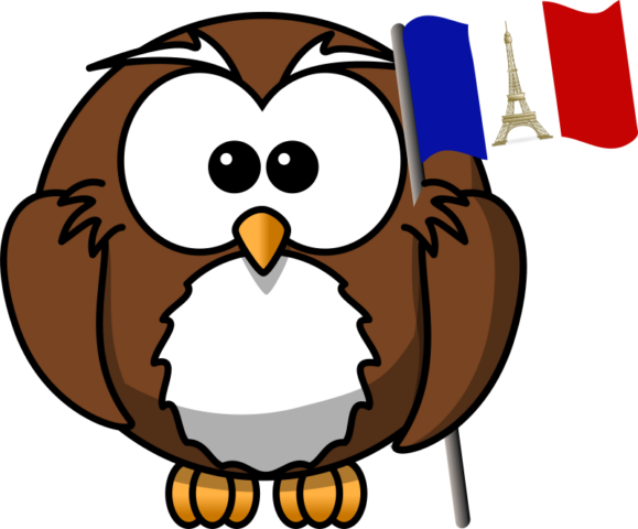 owl17
