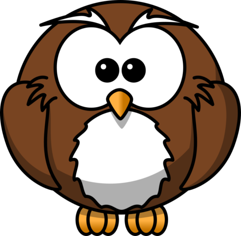 owl19