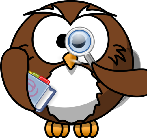 owl20