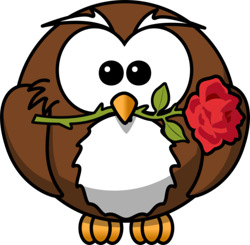 owl3