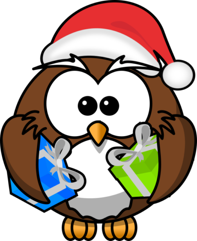 owl5