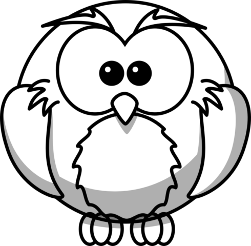 owl6
