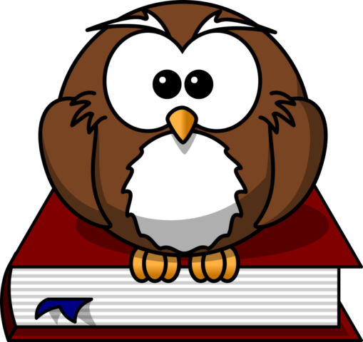 owl7