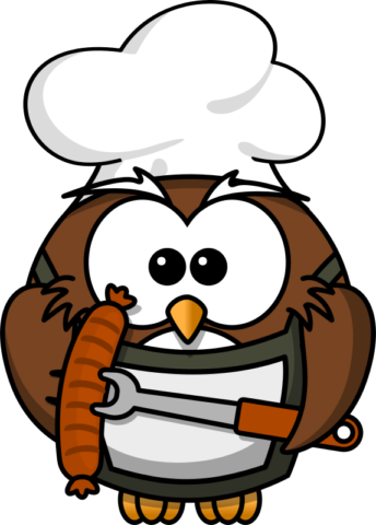 owl9